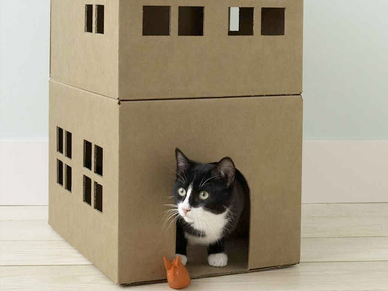 The 10 Best Homemade Cat Toys Your Cat Will Love