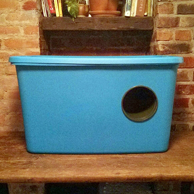 My mom builds ultra insulated cat houses for the stray cats that