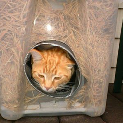 Super-cozy, super-easy DIY cat shelter