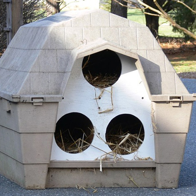 Converted doghouse