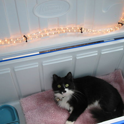 Winter Shelter Bins for Community Cats FAQ