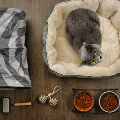 You may need to create a special space in your home for your cat