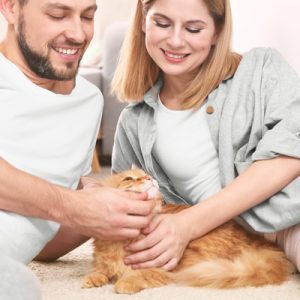 Man and woman petting cat