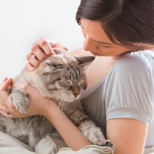 woman petting gray cat