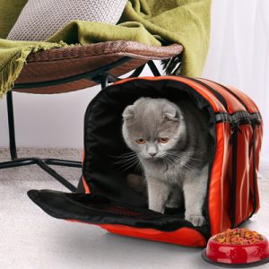 gray cat in orange travel carrier