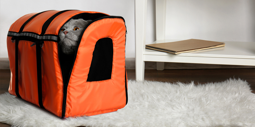 gray cat in orange travel carrier