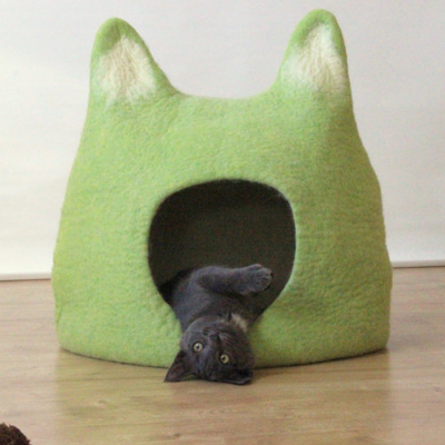 Black cat in green cat cave