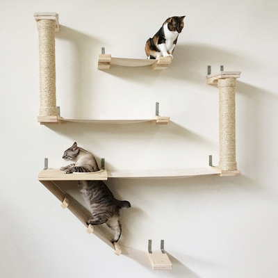 two cats on a wall mounted cat tree