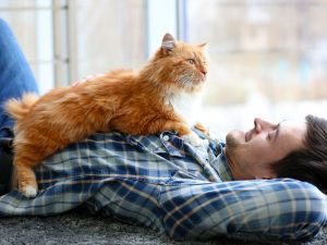 Cat laying on man's chest.