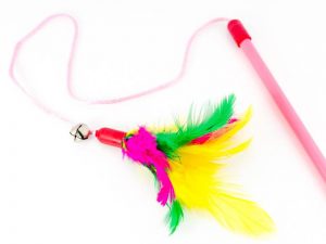 feather cat toy on a string