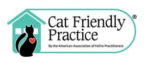 An increasing number of veterinarians are starting to change the way they treat cats through the innovative Cat Friendly Practice® program.