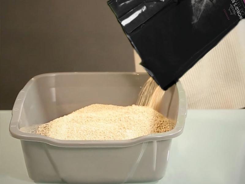 Top 5 Ways to Cure Your Cat’s Litter Box Problems