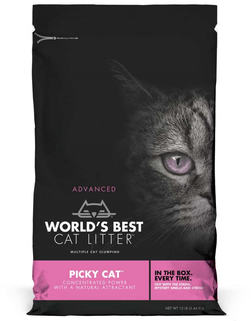 World’s Best Cat Litter®️ Natural Litter for Cats & Kittens