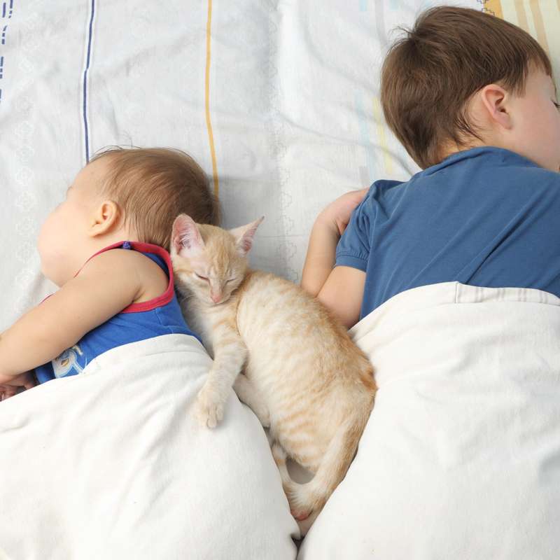 Children sleeping with cat