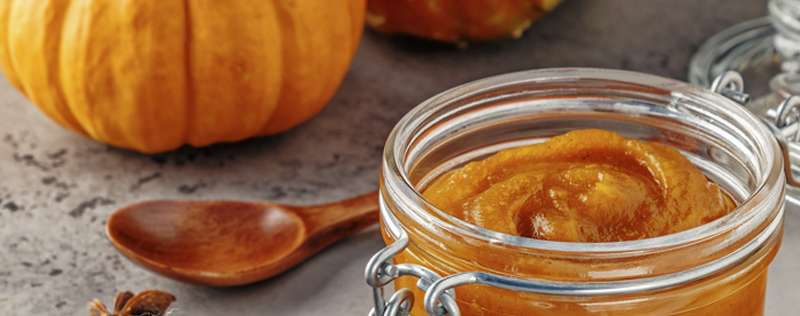 Bowl of pureed pumpkin
