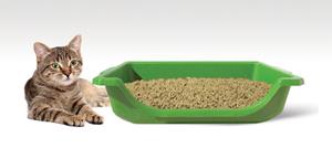 Litter box with cat
