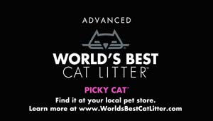 Picky Cat™ video