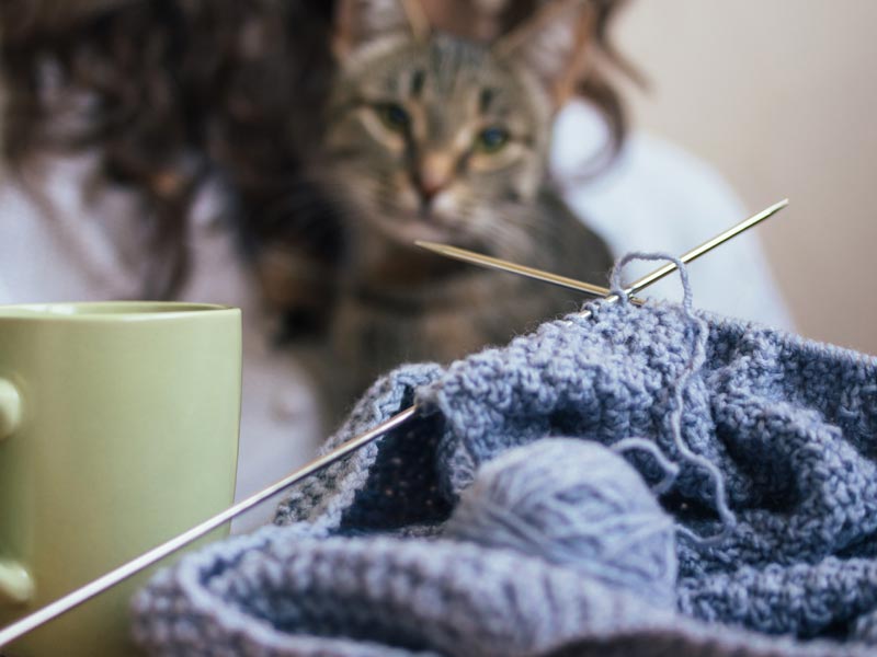 Ways to Help Shelters: Start Knitting or craft group and donate blankets, kitting needles and mug with cat in background