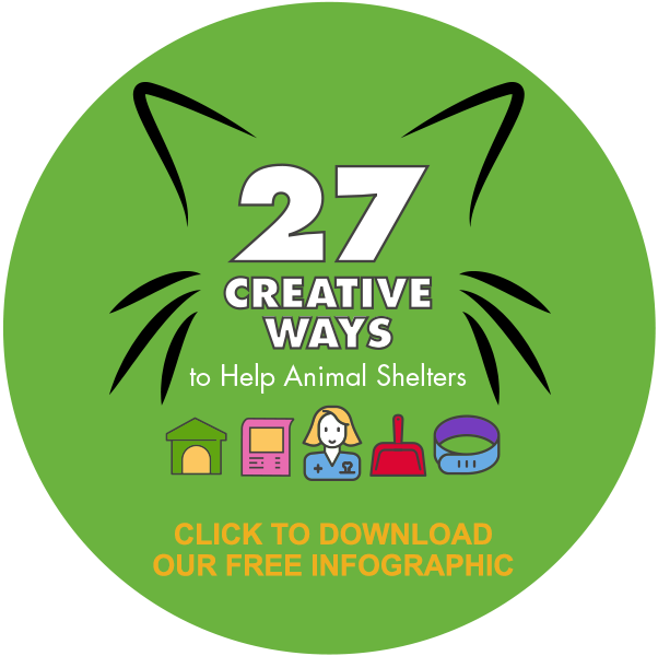 27 Creative Ways to Help Animal Shelters: Click to Download Our Free Infographic