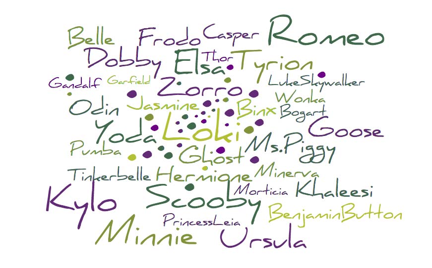 •	Belle
•	Benjamin Button
•	Binx
•	Bogart
•	Casper
•	Dobby
•	Elsa
•	Frodo
•	Gandalf
•	Garfield
•	Goose
•	Ghost
•	Hermione
•	Jasmine
•	Khaleesi
•	Kylo
•	Luke Skywalker
•	Loki
•	Minnie
•	Ms. Piggy
•	Minerva
•	Morticia
•	Odin
•	Pumba
•	Princess Leia
•	Romeo
•	Scooby
•	Tinkerbelle
•	Thor
•	Tyrion
•	Ursula
•	Wonka
•	Yoda
•	Zorro