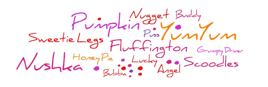 •	Angel
•	Buddy
•	Bubba
•	Fluffington
•	Grumpy Driver
•	Honey Pie
•	Lucky
•	Nugget
•	Nushka
•	Pumpkin
•	Puss
•	Sweetie Legs
•	Scoodles
•	YumYum