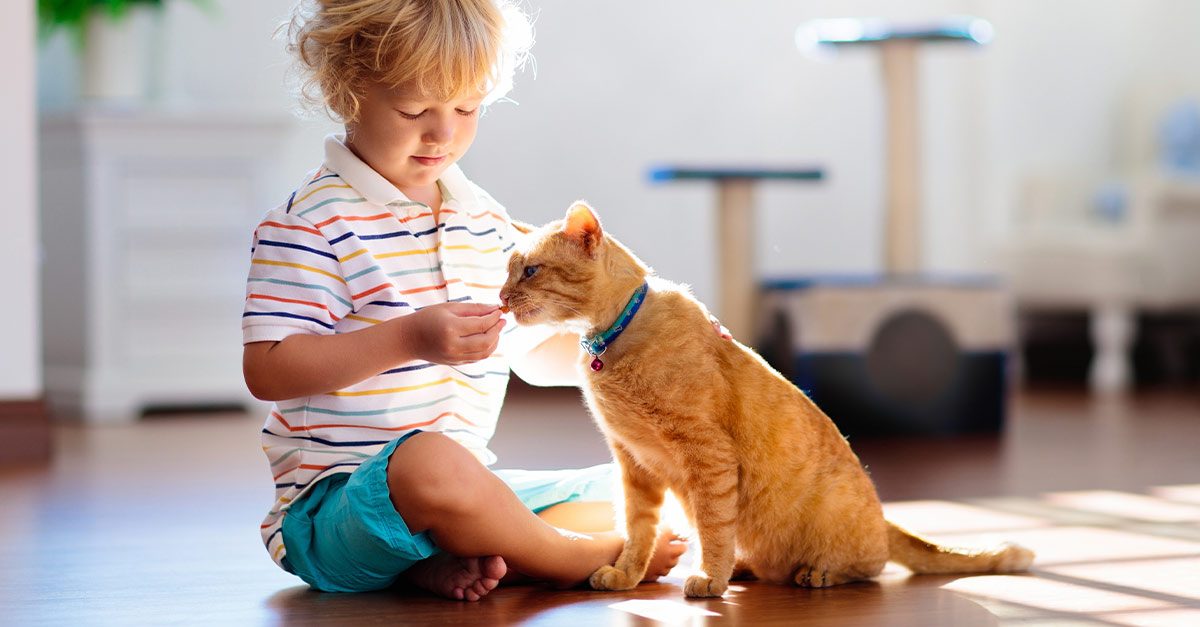 Cats & Kids: What to Think About When Adopting a Cat with a Toddler