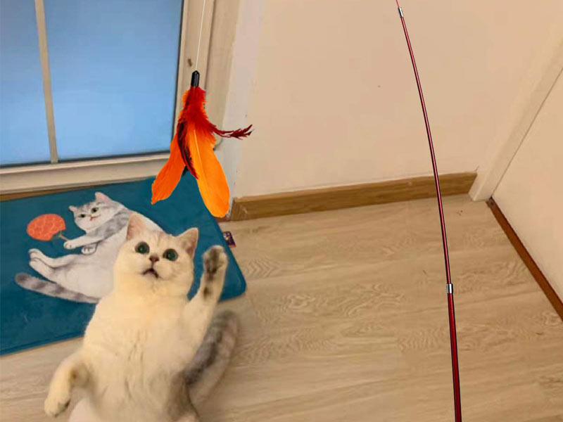 white cat jumping for fish pole toy