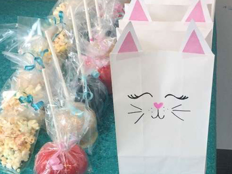 paper bags with cat faces on them