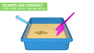 Clumps on contact - corn litter quickly absorbs liquid how-to video