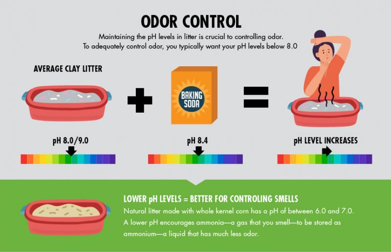 3 Reasons Not to Use Baking Soda in Cat Litter