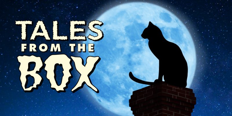 Spooky Tales of Switching Cat Litter
