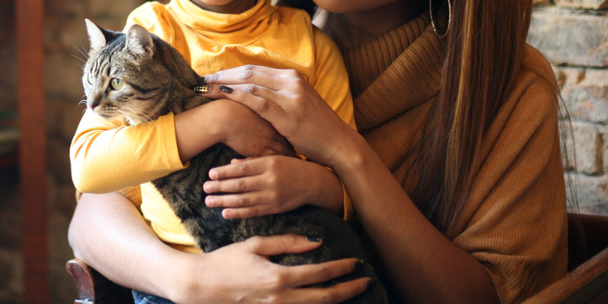 Adopting A Cat For Child With Autism