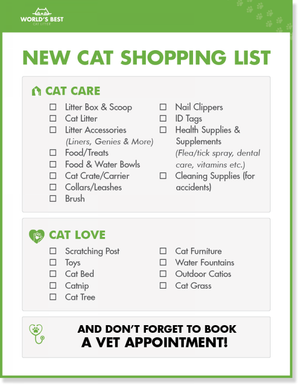 New Cat Shopping List What to Buy Before You Adopt
