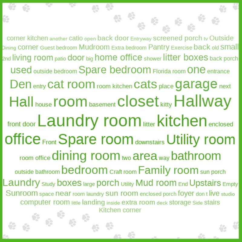 Best Locations to Put Your Cat’s Litter Boxes