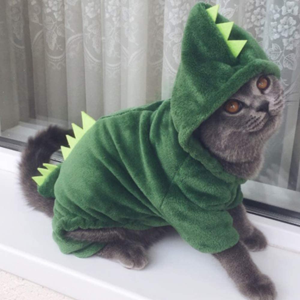 23 Best Cat Costume Ideas for Halloween