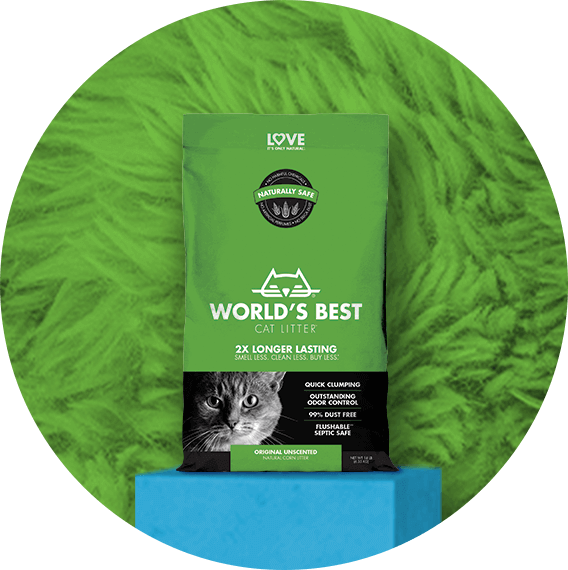 World's Best Cat Litter bag on green carpet
