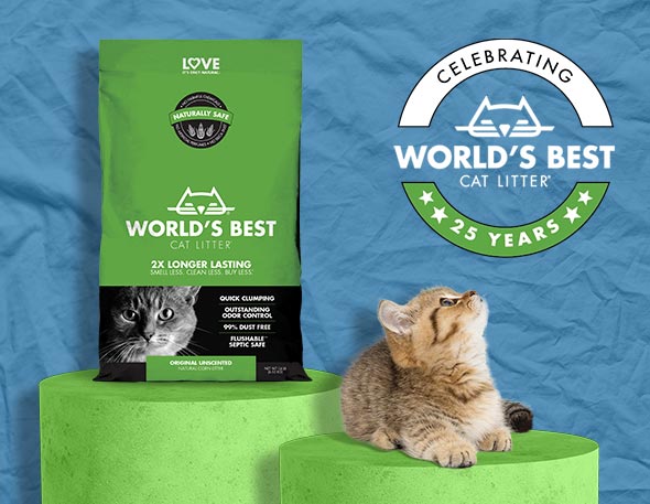 The 6 Best Cat Litters of 2023, Tested and Reviewed