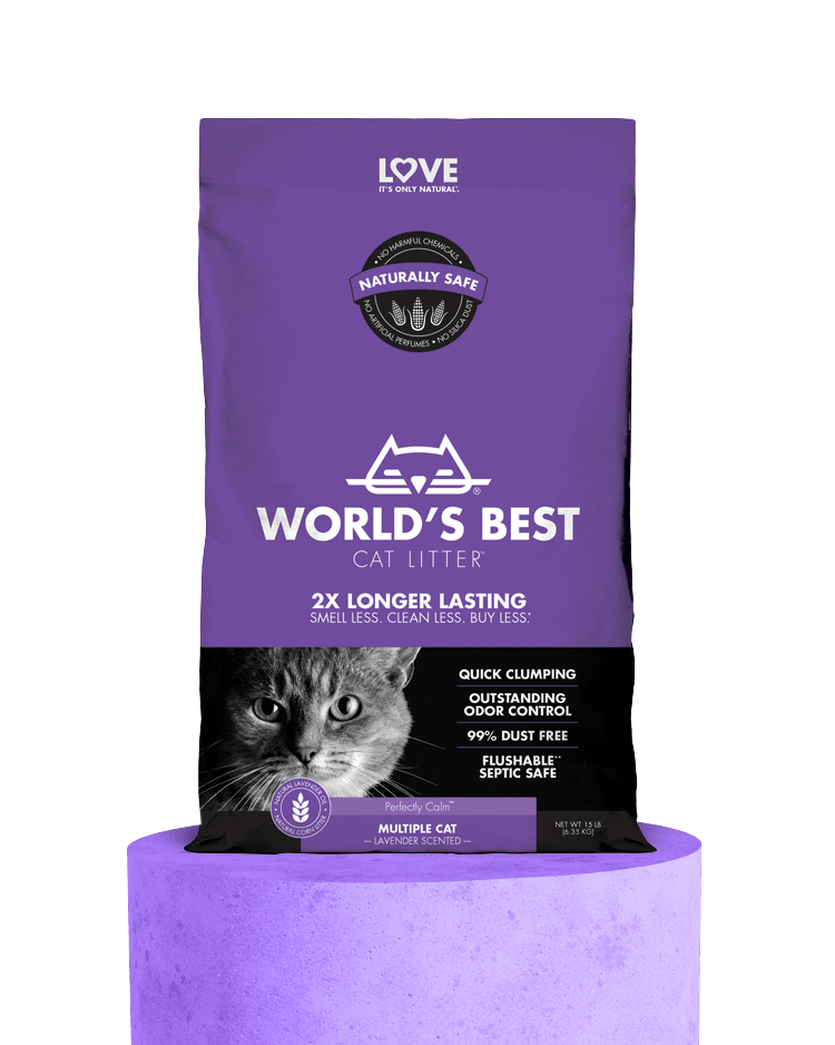 World’s Best Cat Litter®️ Natural Litter for Cats & Kittens