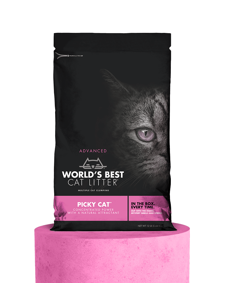 The 5 Best Cat Litter Bags of 2023