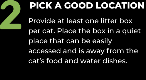 2) PICK A GOOD LOCATION: Provide at least one litter box per cat. Place the box in a quiet place that can be easily accessed and is away from the cat’s food and water dishes.