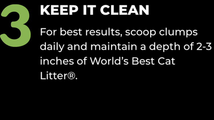 3) KEEP IT CLEAN: For best results, scoop clumps daily and maintain a depth of 2-3 inches of World’s Best Cat Litter®.