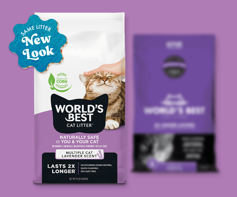 World's Best Cat Litter - Multiple Cat Lavender Scent - Same Litter - NEW LOOK