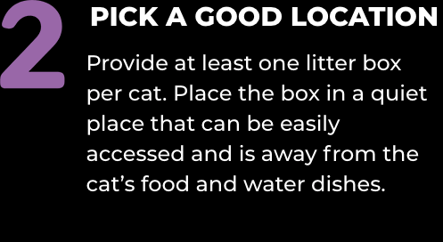 2) PICK A GOOD LOCATION: Provide at least one litter box per cat. Place the box in a quiet place that can be easily accessed and is away from the cat’s food and water dishes.