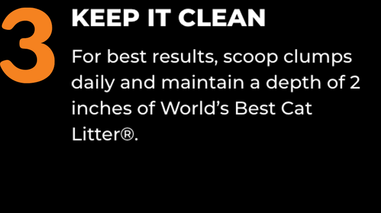 3) KEEP IT CLEAN: For best results, scoop clumps daily and maintain a depth of 2 inches of World’s Best Cat Litter®.