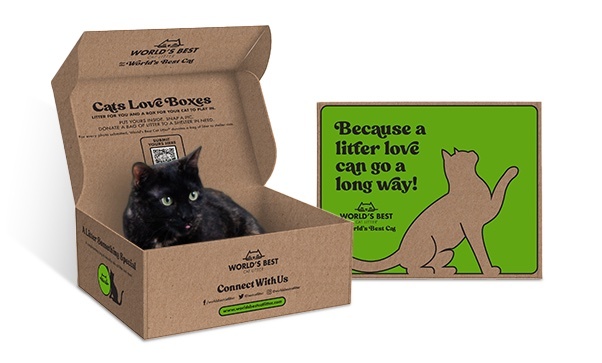 Adoption box with cat inside.
