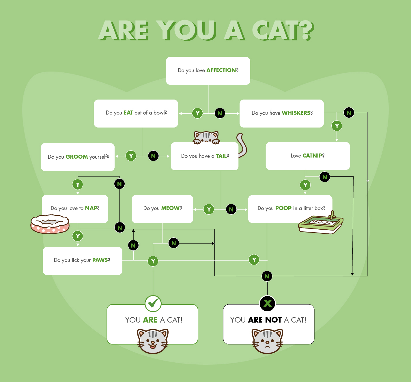 Are You a Cat Quiz? Do you love affection? Do you eat out of a bowl? Do you have whiskers? Do you groom yourself? Do you have a tail? Love catnip? Do you love to nap? Do you meow? Do you poop in a litter box? Do you lick your paws? You are a cat!