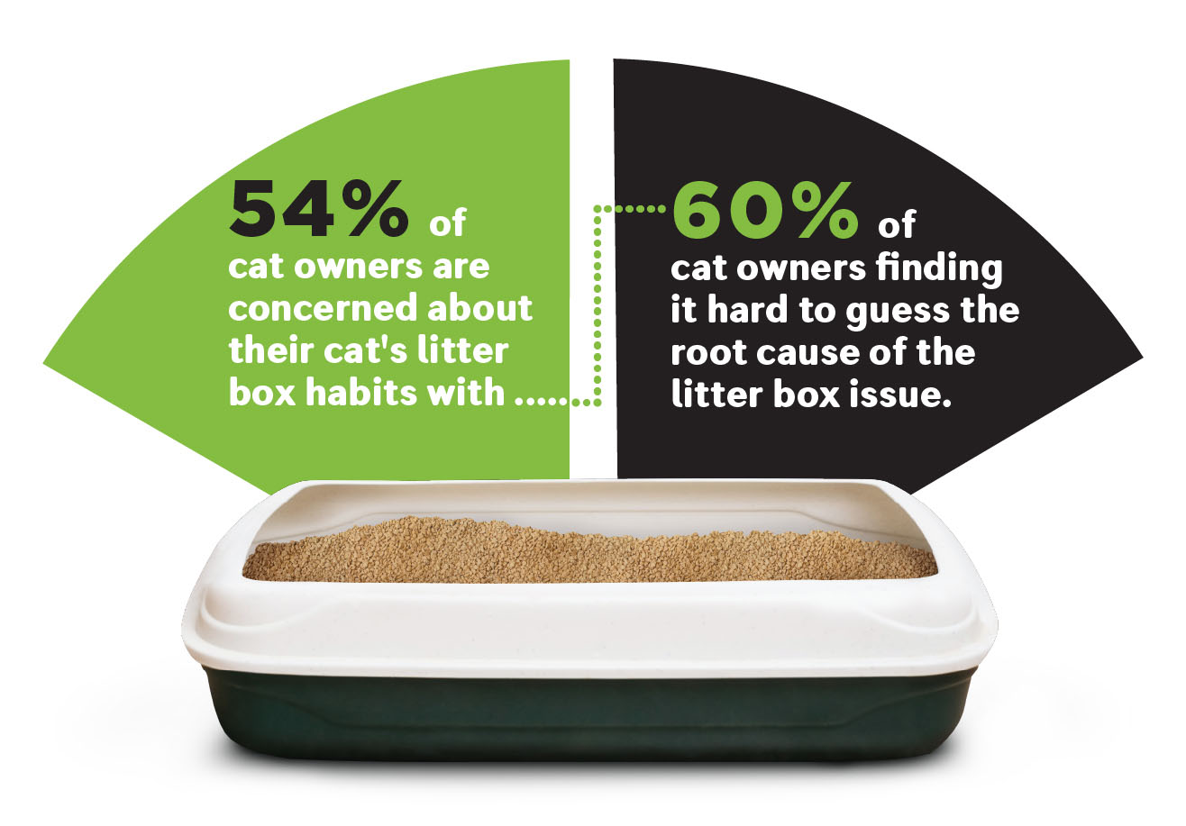 View of New Survey Highlights Importance of Regularly Monitoring Litter Box