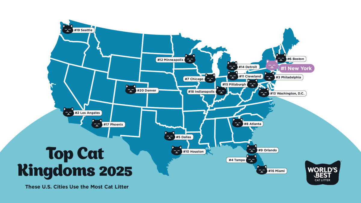 Top Cat Kingdoms - U.S. Cities that Use the Most Cat Litter