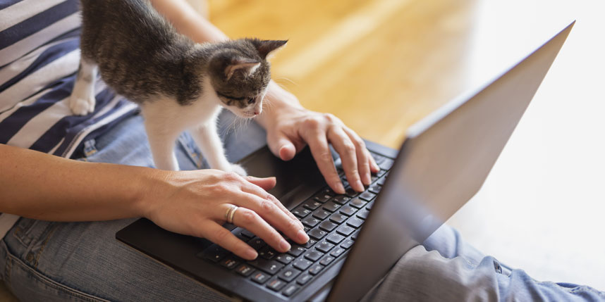 The Case for Putting a Cat in Your Profile Pic