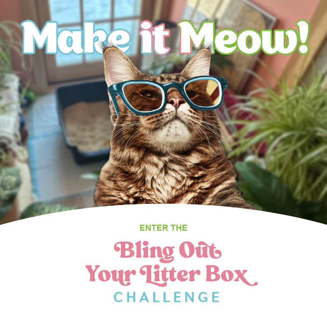 Bling Out Your Litter Box 